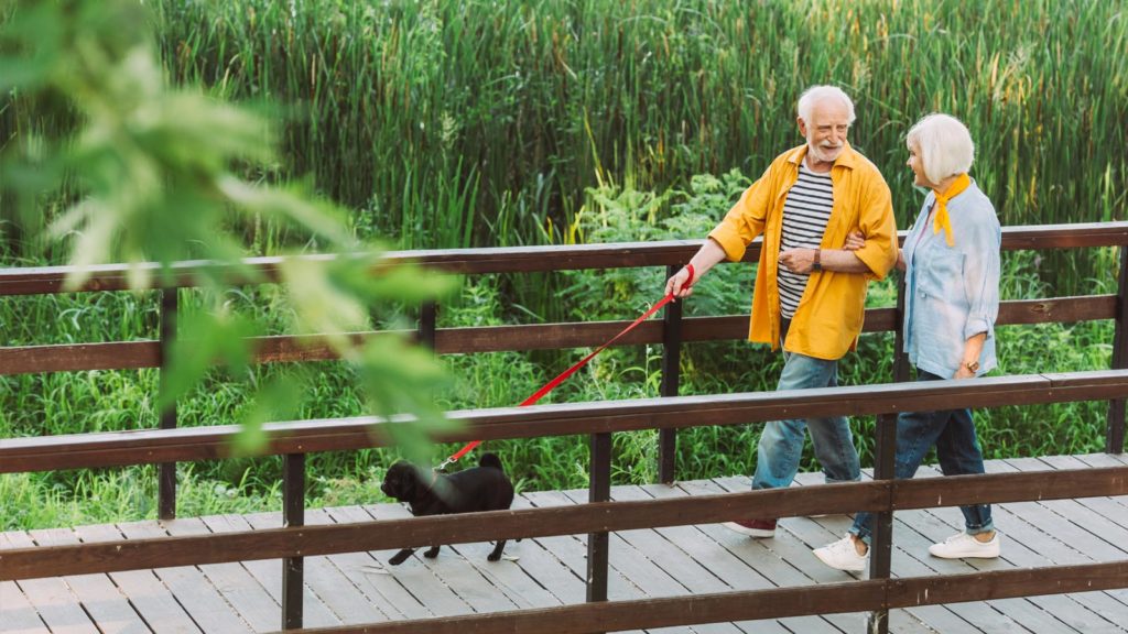 Elderly couple walking their dog across a bridge